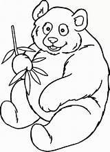 Bear Color Coloring Print Pages sketch template