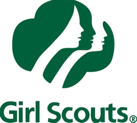 girl scouts  adult hit  killed  picking  trash