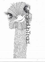 Ostrich Coloring Pages Zentangle Adult Choose Board Animals sketch template