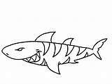 Coloring Shark Pages Print Popular Scary sketch template