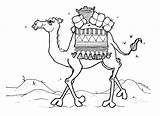 Camel Coloring Pages Outline Colouring Printable Drawings Kids Craft Desert Qatar Mormonshare Muhammad Prophet Islamic sketch template