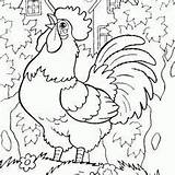 Coloring Pages Drawing Animal Colour Rooster Chicken Beautiful Cute Kids Hens Colouring Wallpaper Drawings Farm Hd Color Animals Adult Sheets sketch template