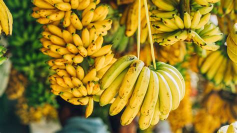 Banana Panic Is The Fruit Really On The Brink Of Extinction Mental