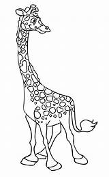 Girafa Colorat Planse Desene Educative Trafic sketch template
