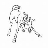 Stallion Cimarron Cheval Indomable Corcel Chevaux Starklx Abrir sketch template