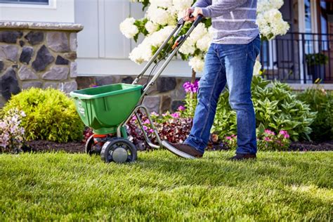 Spring Lawn Care Tips For Healthy And Green Turf