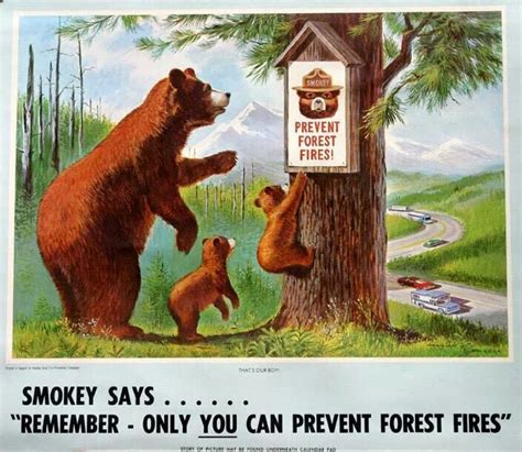17 best images about only you can prevent forest fires on