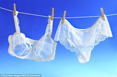 melbourne man guilty of stealing women s underwear from clotheslines