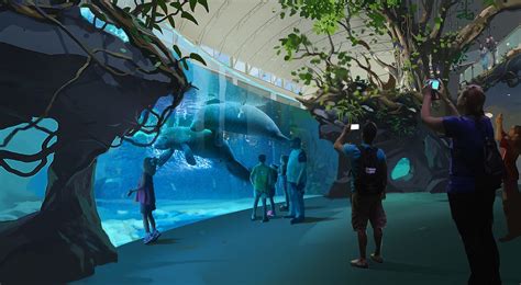 newly announced clearwater marine aquarium expansion includes large