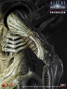 hot toys alien  predator requiem predalien