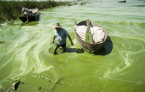 severe water pollution  china