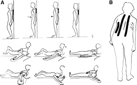 exercises performed   standing  lying position  correct