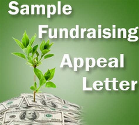 sample fundraising appeal letter  letters