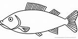 Fisch Fische Malvorlage Malvorlagen Einfach Peixe Hecht Peixes Heilpaedagogik Tiere sketch template