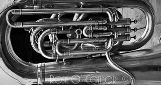 anatomy   tuba rosie oconnor flickr
