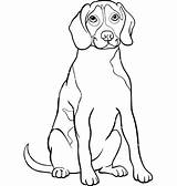 Beagle Coloring Pages Easter Getdrawings Dog Getcolorings sketch template