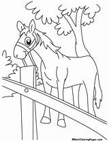 Coloring Pages Horse Cartoon Bestcoloringpages Kids Color Dog Farm Sheets Relaxing Time sketch template