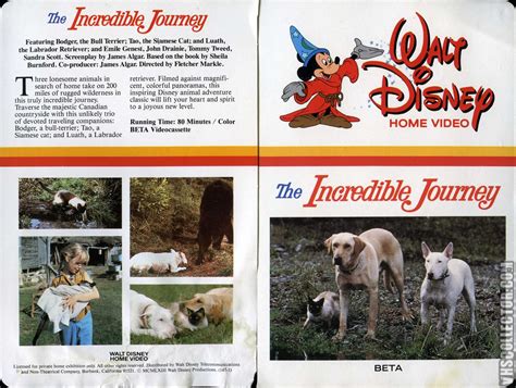 incredible journey vhscollectorcom