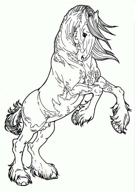horses cartoon coloring page coloring home