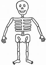Coloring Pages Skeleton Human Getcolorings sketch template
