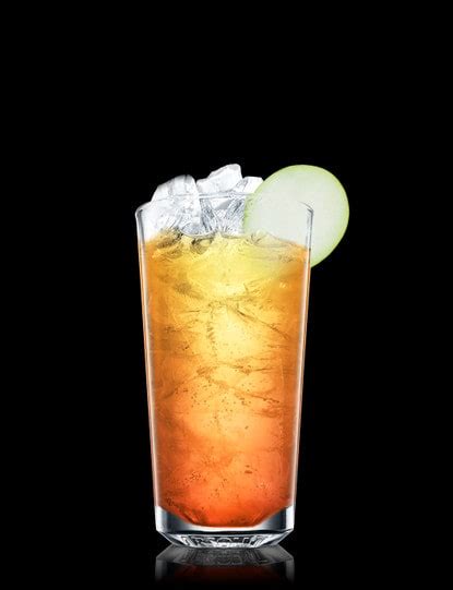 Spiced Rum Punch Recipe Absolut Drinks