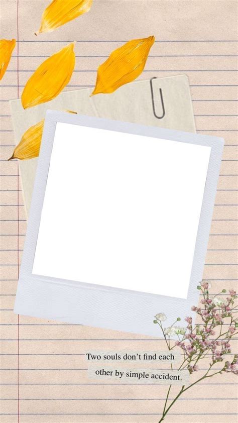 template foto aesthetic images vector