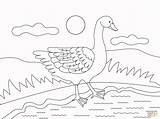 Coloring Goose Pages sketch template