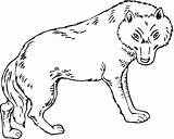 Wolf Coloring Pages Animals Color sketch template
