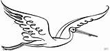 Stork Cigogne Storch Coloring Cegonha Fliegender Bocian Ausmalbild Gleitflug Voando Anmutiger Supercoloring Druku Artistique Malvorlage Malvorlagen Locie Biały Kostenlos Coloringbay sketch template