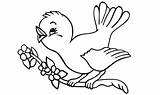 Mewarnai Contoh Anak Sketsa Belajar Burung Hewan Paud Kolase Kelas Lucu Tayo Contohnya Tobot Dll sketch template