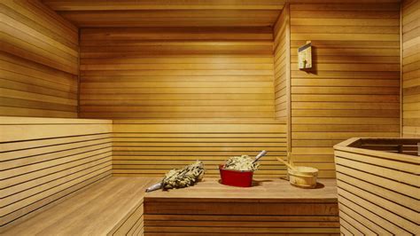 spa southeast calgary silver birch sauna