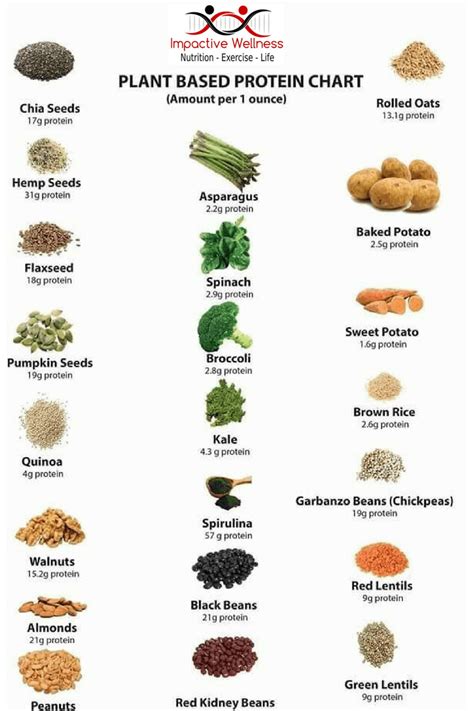 plant based protein chart rhealthyeatingnow