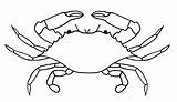 Crab Crustacean Crustaceans Pluspng Gnome sketch template