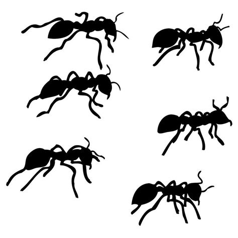 drawing drawing  ants  karl addison ants ant tattoo drawings