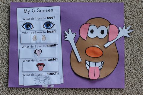 johnson journey unit theme  senses  senses preschool