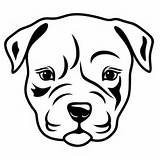 Pitbull Dog Pit Bull Drawing Svg Puppy Angry Draw Face Faces Drawings Getdrawings Designs Designlooter Nose 33kb 600px sketch template