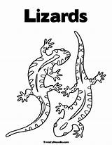 Coloring Pages Lizard Reptiles Lizards Template Sheet Morgan Gecko Garrett Kids Snake Reptile Drawing Animal Twistynoodle Templates Printable Mosaic Colouring sketch template