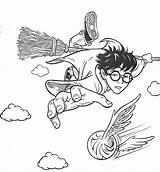 Dobby Quidditch Hedwig Hogwarts Getcolorings Pintar Lego Getdrawings Quadribol Slytherin sketch template