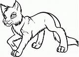 Coloring Cat Firestar Coloringhome Wildcat Sad Mammals sketch template
