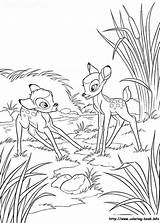 Bambi Pobarvanka Pobarvanke Faline sketch template