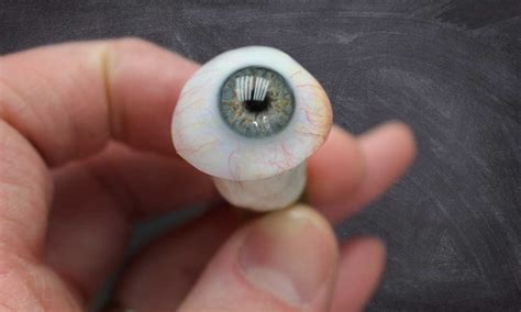 Five Types Of Artificial Eyes Why You Might Need A Prosthesis