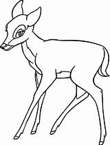 Bambi Coloring Faline Colorare Disegni Gratuitamente Wecoloringpage sketch template