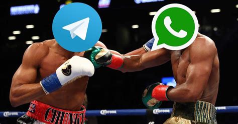 whatsapp  telegram cual es mas seguro stips