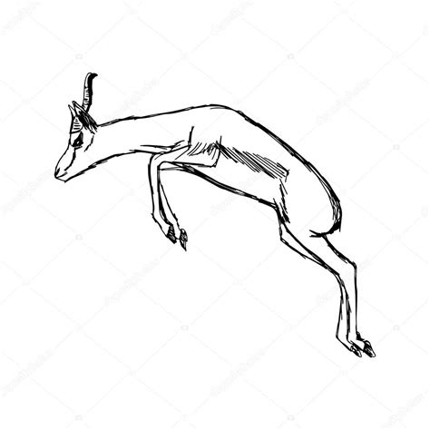 gazelle drawing images     drawings