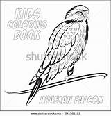 Falcon Coloring Amur Blank Designlooter Arabian Book Kids sketch template