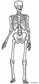 Coloring Pages Skeleton Print Human Template sketch template