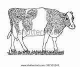 Cow Colouring Book Adult Zentangle Animal Vector Brindled Meadow Milk Stock Shutterstock Search Color sketch template
