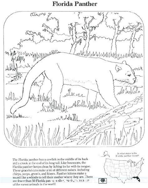 endangered animals coloring pages  getcoloringscom  printable