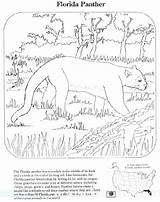 Coloring Endangered Pages Animals Flag Florida Species Getcolorings Sheets Getdrawings Color Colorings sketch template