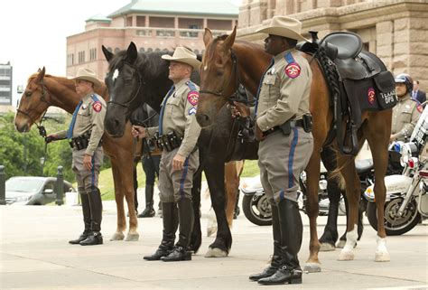 dps introduces mounted horse patrol unit   capitol collective vision photoblog